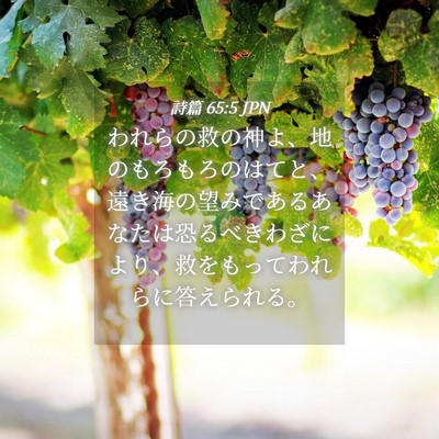 Picture 04 - 詩篇 65:5 JPN - われらの救の神よ、地のもろもろの - Bible Verse Picture