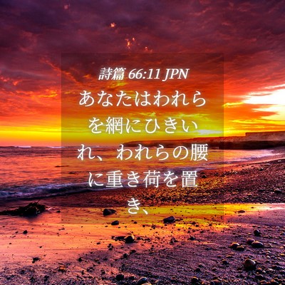 Picture 04 - 詩篇 66:11 JPN - あなたはわれらを網にひきいれ、わ - Bible Verse Picture