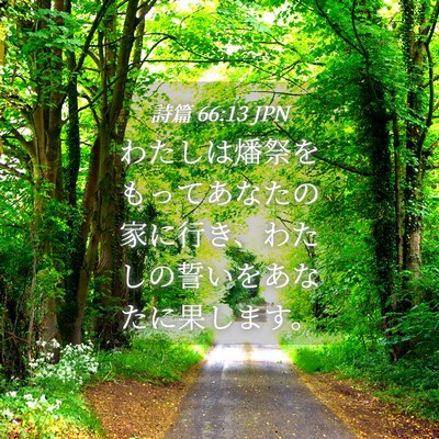 Picture 04 - 詩篇 66:13 JPN - わたしは燔祭をもってあなたの家に - Bible Verse Picture