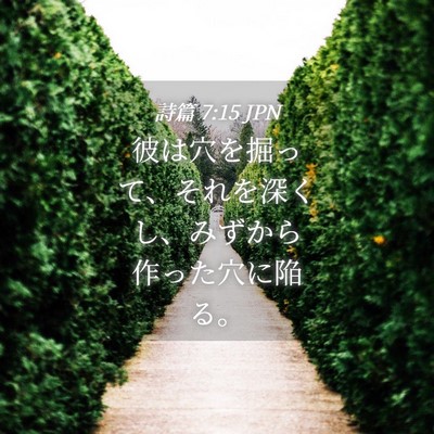 Picture 04 - 詩篇 7:15 JPN - 彼は穴を掘って、それを深くし、み - Bible Verse Picture