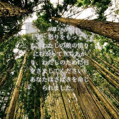 Picture 04 - 詩篇 7:6 JPN - 主よ、怒りをもって立ち、わたしの - Bible Verse Picture