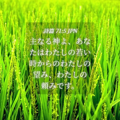 Picture 04 - 詩篇 71:5 JPN - 主なる神よ、あなたはわたしの若い - Bible Verse Picture