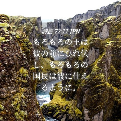 Picture 04 - 詩篇 72:11 JPN - もろもろの王は彼の前にひれ伏し、 - Bible Verse Picture