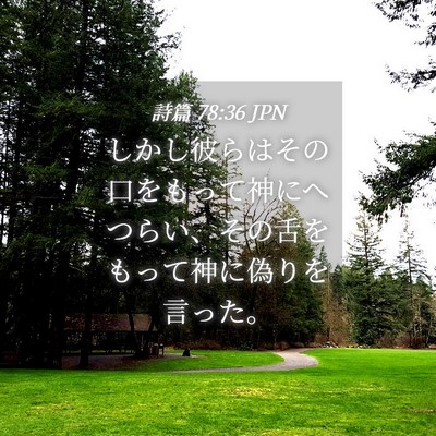 Picture 04 - 詩篇 78:36 JPN - しかし彼らはその口をもって神にへ - Bible Verse Picture