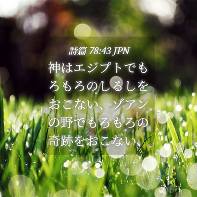 Picture 04 - 詩篇 78:43 JPN - 神はエジプトでもろもろのしるしを - Bible Verse Picture