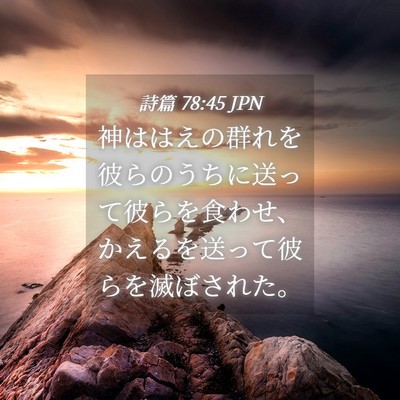 Picture 04 - 詩篇 78:45 JPN - 神ははえの群れを彼らのうちに送っ - Bible Verse Picture