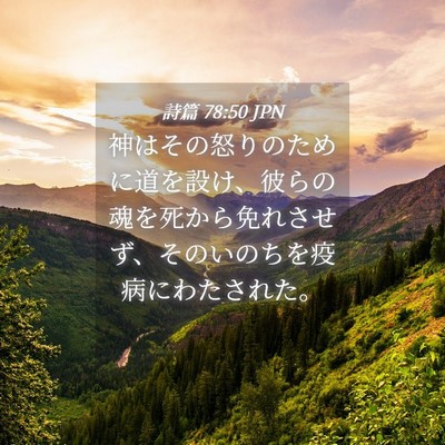 Picture 04 - 詩篇 78:50 JPN - 神はその怒りのために道を設け、彼 - Bible Verse Picture
