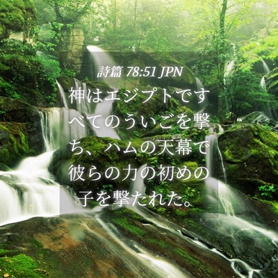 Picture 04 - 詩篇 78:51 JPN - 神はエジプトですべてのういごを撃 - Bible Verse Picture