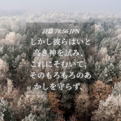 Picture 04 - 詩篇 78:56 JPN - しかし彼らはいと高き神を試み、こ - Bible Verse Picture
