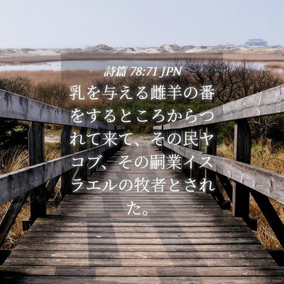 Picture 04 - 詩篇 78:71 JPN - 乳を与える雌羊の番をするところか - Bible Verse Picture