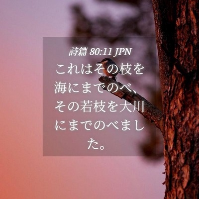 Picture 04 - 詩篇 80:11 JPN - これはその枝を海にまでのべ、その - Bible Verse Picture