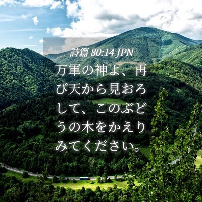 Picture 04 - 詩篇 80:14 JPN - 万軍の神よ、再び天から見おろして - Bible Verse Picture