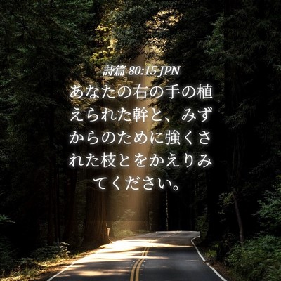 Picture 04 - 詩篇 80:15 JPN - あなたの右の手の植えられた幹と、 - Bible Verse Picture