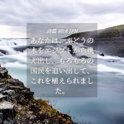 Picture 04 - 詩篇 80:8 JPN - あなたは、ぶどうの木をエジプトか - Bible Verse Picture
