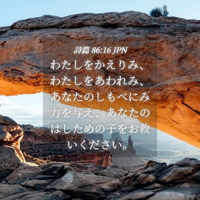 Picture 04 - 詩篇 86:16 JPN - わたしをかえりみ、わたしをあわれ - Bible Verse Picture