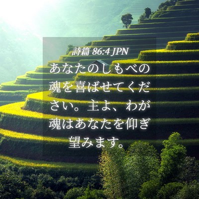Picture 04 - 詩篇 86:4 JPN - あなたのしもべの魂を喜ばせてくだ - Bible Verse Picture