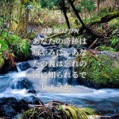 Picture 04 - 詩篇 88:12 JPN - あなたの奇跡は暗やみに、あなたの - Bible Verse Picture