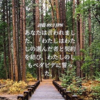 Picture 04 - 詩篇 89:3 JPN - あなたは言われました、「わたしは - Bible Verse Picture