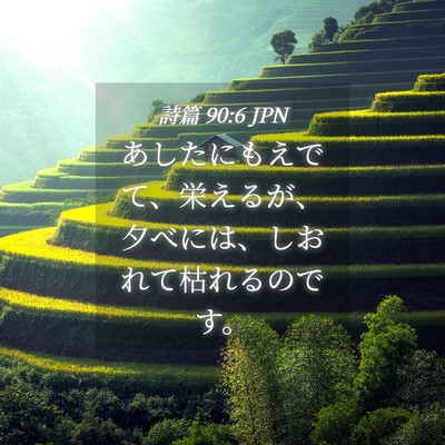 Picture 04 - 詩篇 90:6 JPN - あしたにもえでて、栄えるが、夕べ - Bible Verse Picture