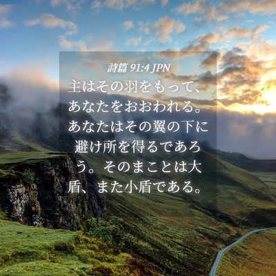 Picture 04 - 詩篇 91:4 JPN - 主はその羽をもって、あなたをおお - Bible Verse Picture