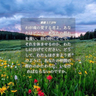 Picture 04 - 雅歌 1:7 JPN - わが魂の愛する者よ、あなたはどこ - Bible Verse Picture