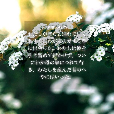 Picture 04 - 雅歌 3:4 JPN - わたしが彼らと別れて行くとすぐ、 - Bible Verse Picture