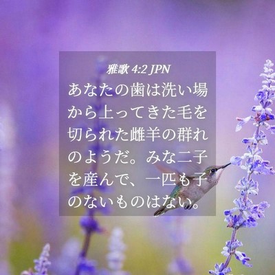Picture 04 - 雅歌 4:2 JPN - あなたの歯は洗い場から上ってきた - Bible Verse Picture