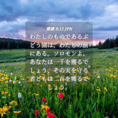 Picture 04 - 雅歌 8:12 JPN - わたしのものであるぶどう園は、わ - Bible Verse Picture