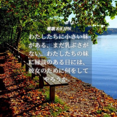 Picture 04 - 雅歌 8:8 JPN - わたしたちに小さい妹がある、まだ - Bible Verse Picture