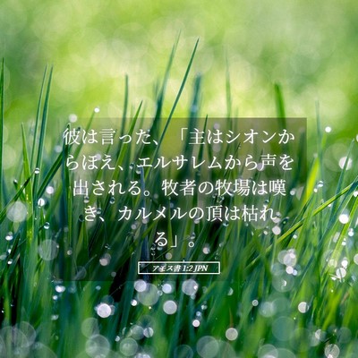 Picture 05 - アモス書 1:2 JPN - 彼は言った、「主はシオンからほえ - Bible Verse Picture