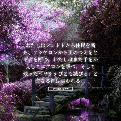 Picture 05 - アモス書 1:8 JPN - わたしはアシドドから住民を断ち、 - Bible Verse Picture
