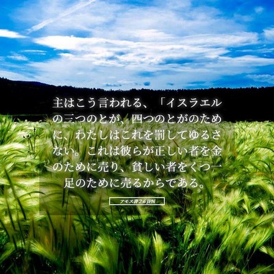 Picture 05 - アモス書 2:6 JPN - 主はこう言われる、「イスラエルの - Bible Verse Picture