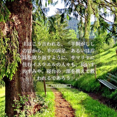 Picture 05 - アモス書 3:12 JPN - 主はこう言われる、「羊飼がししの - Bible Verse Picture