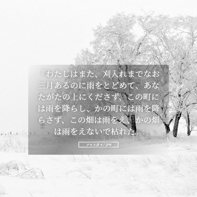 Picture 05 - アモス書 4:7 JPN - 「わたしはまた、刈入れまでなお三 - Bible Verse Picture