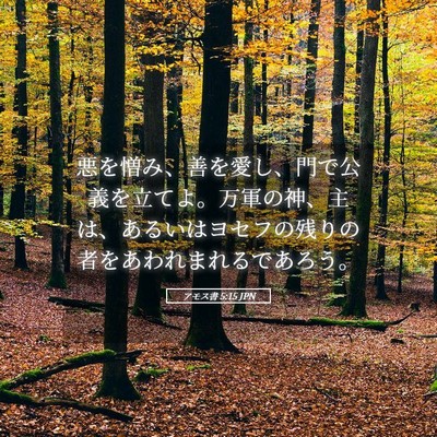 Picture 05 - アモス書 5:15 JPN - 悪を憎み、善を愛し、門で公義を立 - Bible Verse Picture