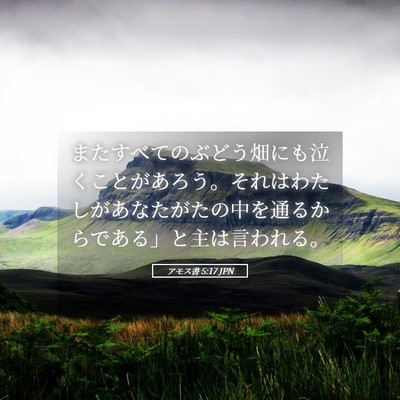 Picture 05 - アモス書 5:17 JPN - またすべてのぶどう畑にも泣くこと - Bible Verse Picture