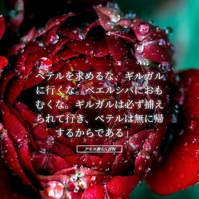 Picture 05 - アモス書 5:5 JPN - ベテルを求めるな、ギルガルに行く - Bible Verse Picture