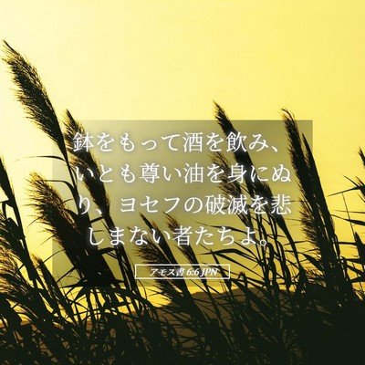 Picture 05 - アモス書 6:6 JPN - 鉢をもって酒を飲み、いとも尊い油 - Bible Verse Picture
