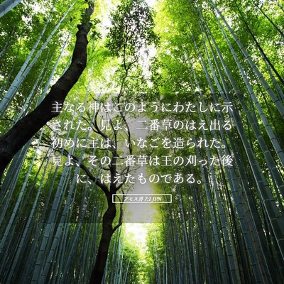 Picture 05 - アモス書 7:1 JPN - 主なる神はこのようにわたしに示さ - Bible Verse Picture