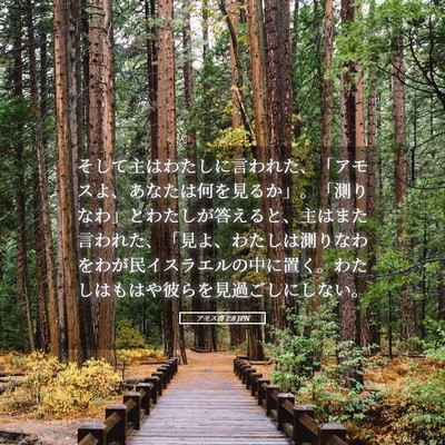 Picture 05 - アモス書 7:8 JPN - そして主はわたしに言われた、「ア - Bible Verse Picture