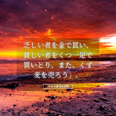 Picture 05 - アモス書 8:6 JPN - 乏しい者を金で買い、貧しい者をく - Bible Verse Picture
