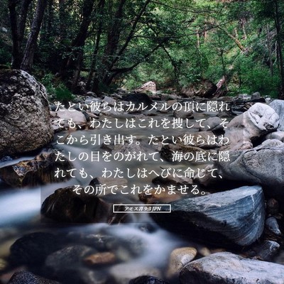 Picture 05 - アモス書 9:3 JPN - たとい彼らはカルメルの頂に隠れて - Bible Verse Picture