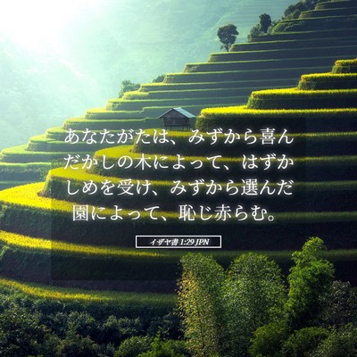 Picture 05 - イザヤ書 1:29 JPN - あなたがたは、みずから喜んだかし - Bible Verse Picture