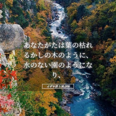 Picture 05 - イザヤ書 1:30 JPN - あなたがたは葉の枯れるかしの木の - Bible Verse Picture
