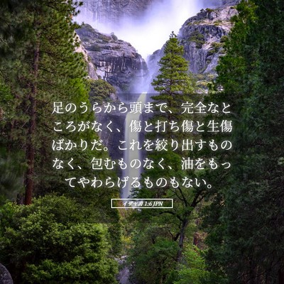 Picture 05 - イザヤ書 1:6 JPN - 足のうらから頭まで、完全なところ - Bible Verse Picture
