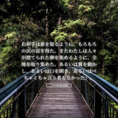 Picture 05 - イザヤ書 10:14 JPN - わが手は巣を取るように、もろもろ - Bible Verse Picture