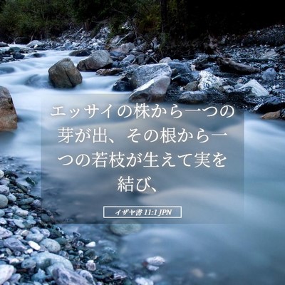 Picture 05 - イザヤ書 11:1 JPN - エッサイの株から一つの芽が出、そ - Bible Verse Picture