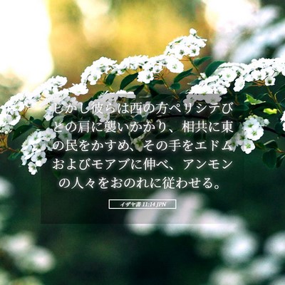 Picture 05 - イザヤ書 11:14 JPN - しかし彼らは西の方ペリシテびとの - Bible Verse Picture