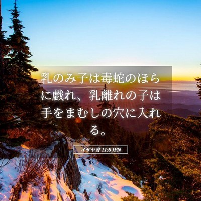 Picture 05 - イザヤ書 11:8 JPN - 乳のみ子は毒蛇のほらに戯れ、乳離 - Bible Verse Picture
