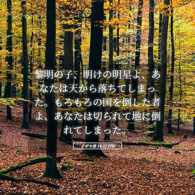 Picture 05 - イザヤ書 14:12 JPN - 黎明の子、明けの明星よ、あなたは - Bible Verse Picture